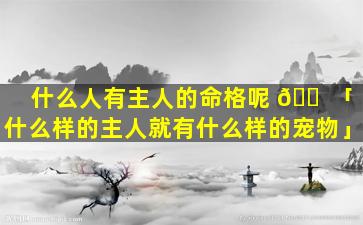 什么人有主人的命格呢 🐠 「什么样的主人就有什么样的宠物」